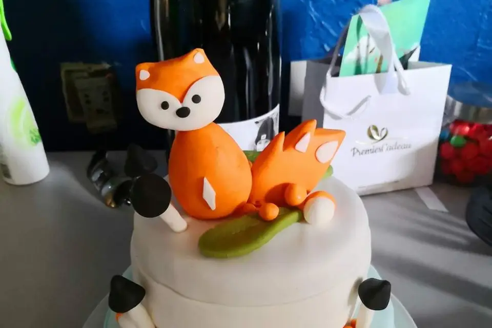 Les Babatisseries de Jo — photo 6