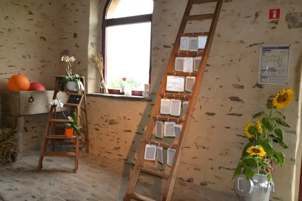 Anjou Cocktail — photo 8