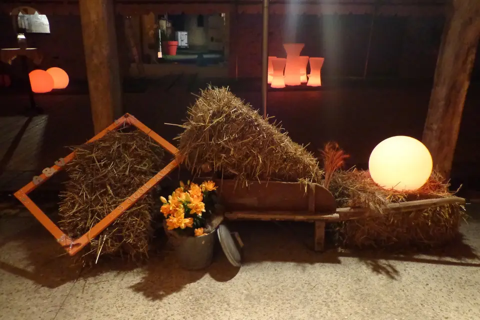 Anjou Cocktail — photo 1