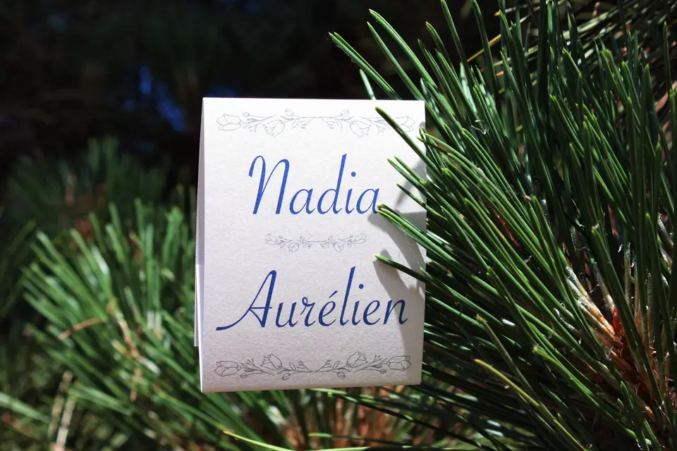 Cyndy Holz — photo 1