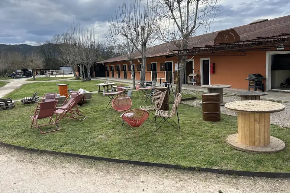 Tich Horses — photo 3