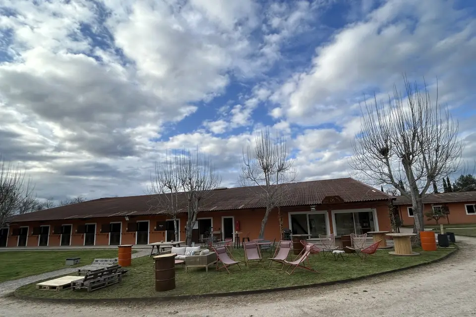 Tich Horses — photo 4