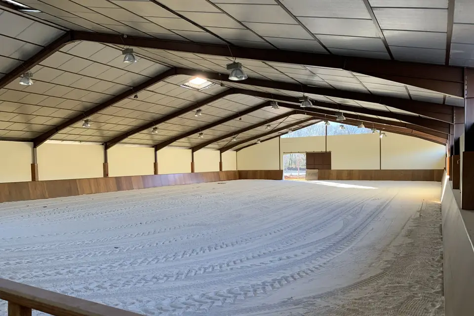 Tich Horses — photo 1