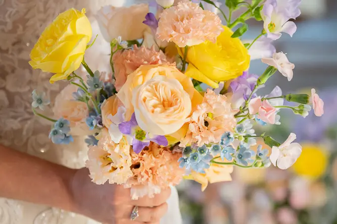 Sylvie Sappe Events — photo 5