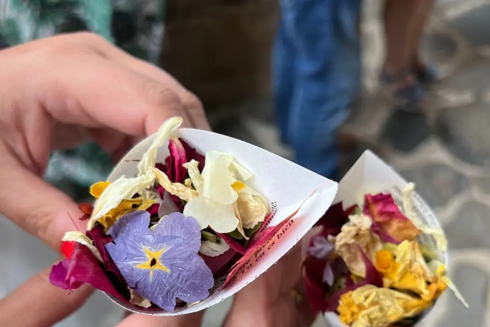 Avec  Mes Petites Mains — photo 2