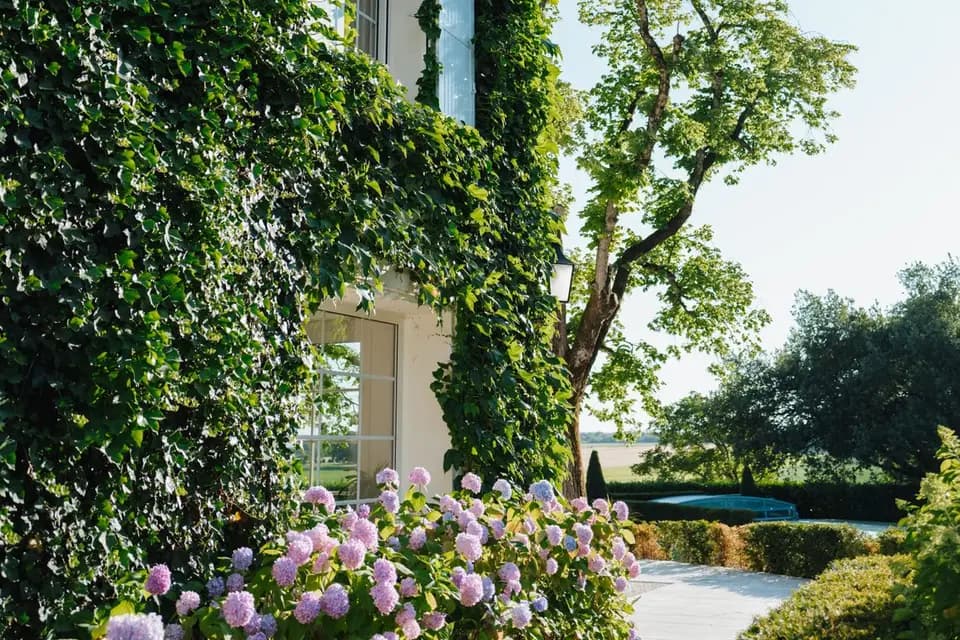 Domaine de Bonaveau — photo 6