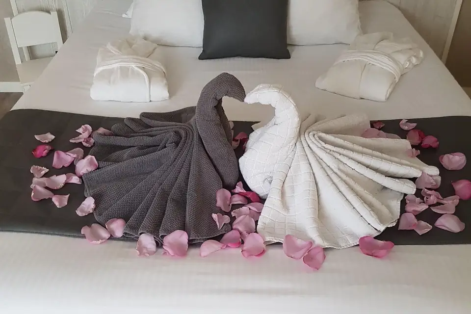 La Palmeraie — photo 3