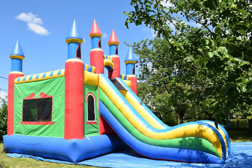 All'Animation — photo 3