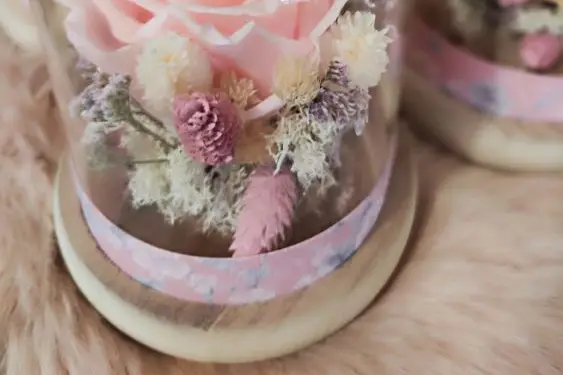 Marguerite et Nénuphar — photo 3