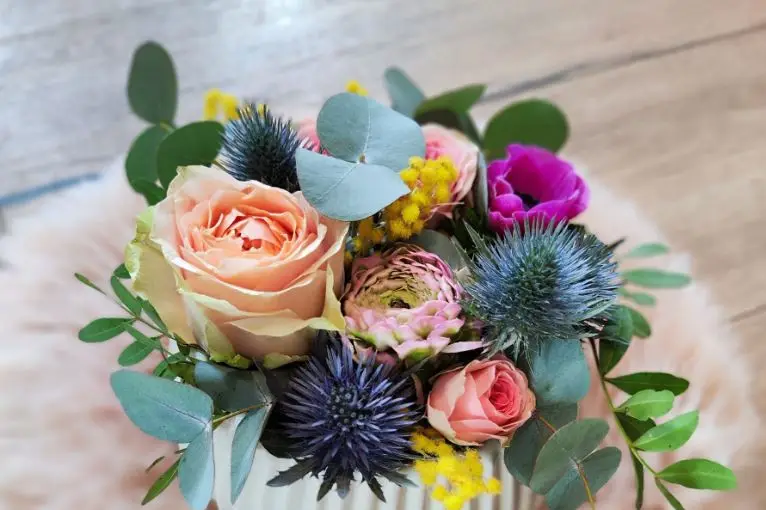 Marguerite et Nénuphar