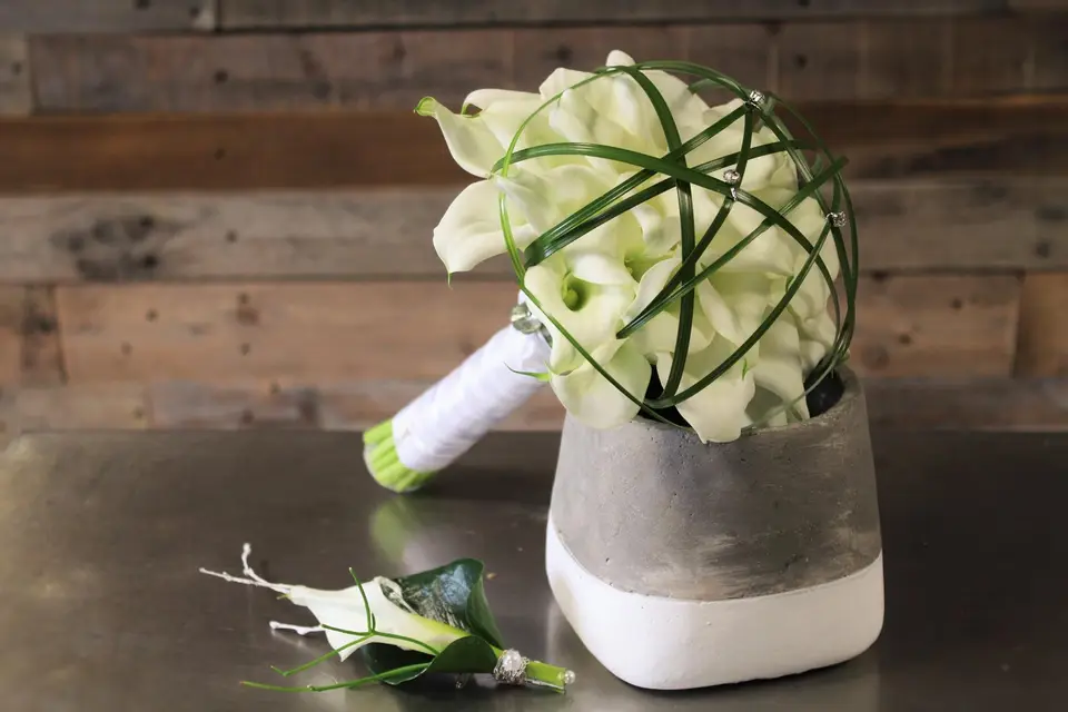 Accent Végétal — photo 1