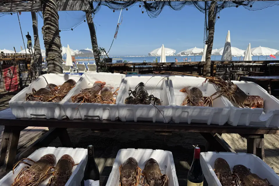 L’Estuaire Plage — photo 6