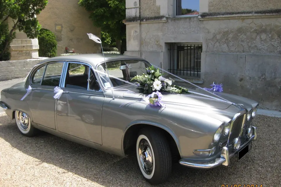 Loca Times — photo 2