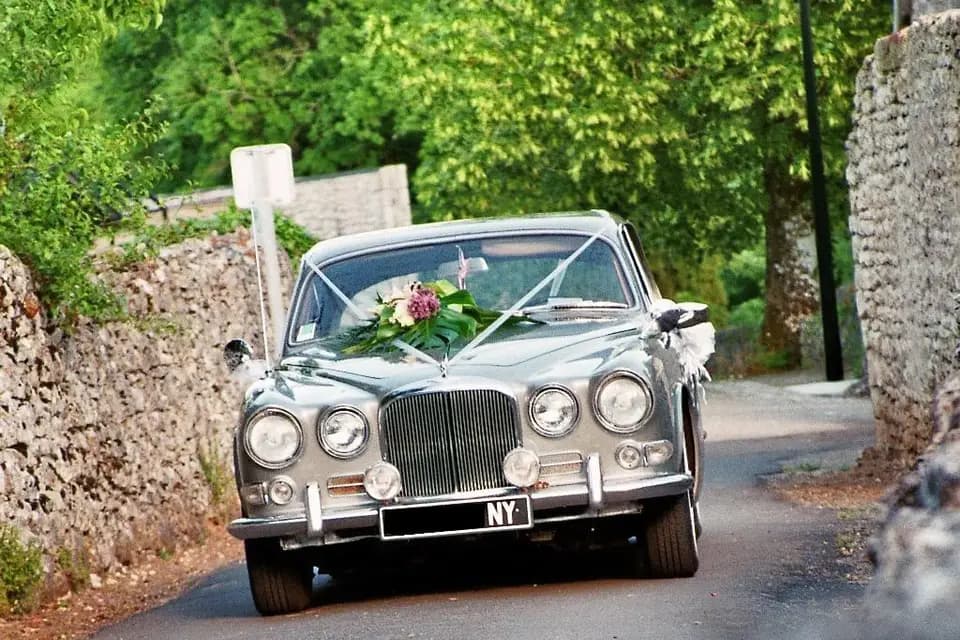 Loca Times — photo 6