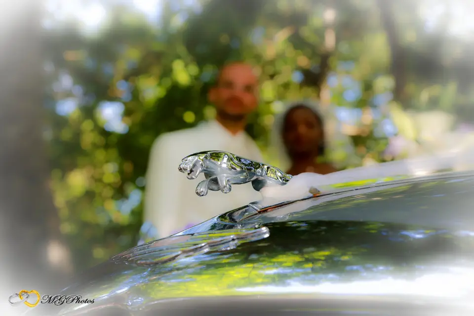 Loca Times — photo 1