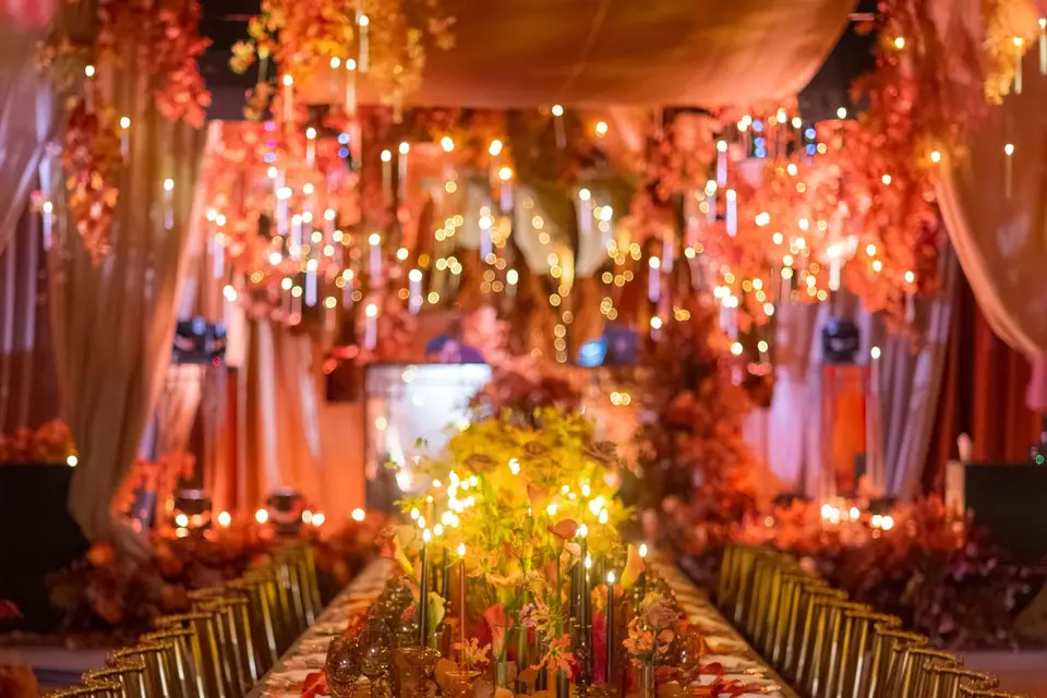 Aura Vélia — photo 2