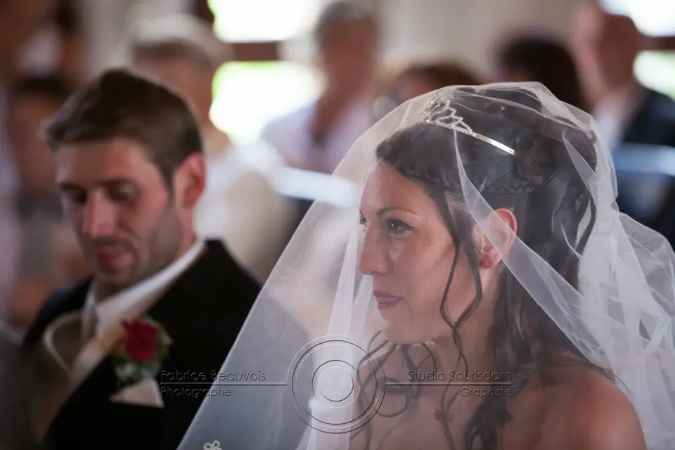 Fabrice Beauvois - Sourisdom — photo 1