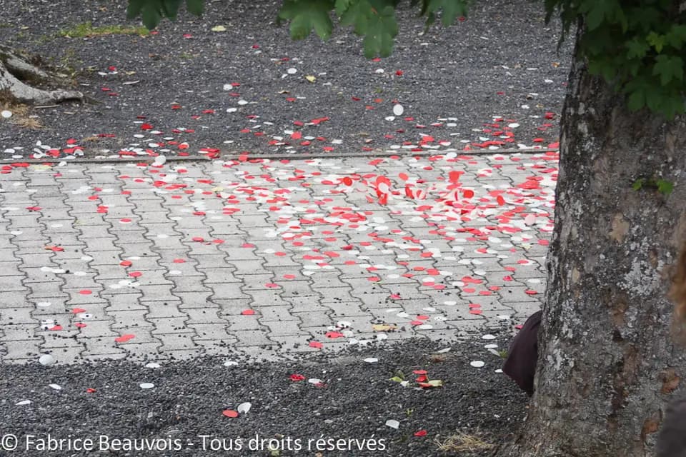 Fabrice Beauvois - Sourisdom — photo 5