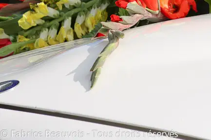 Fabrice Beauvois - Sourisdom — photo 7