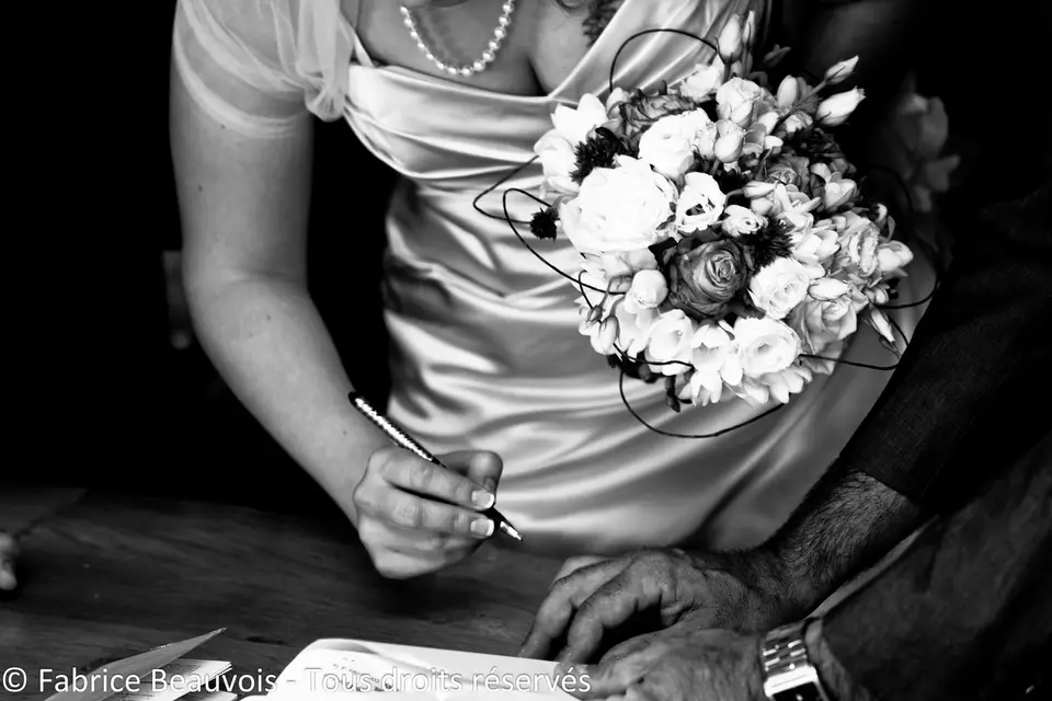 Fabrice Beauvois - Sourisdom — photo 8