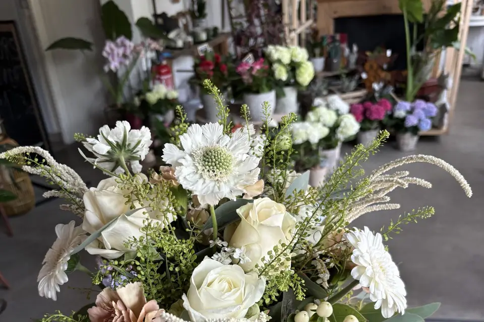 Léon et Rosalie — photo 7