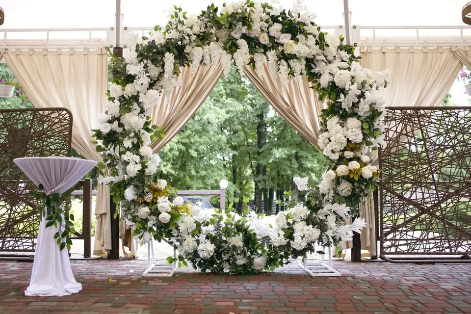 Softys Events — photo 4