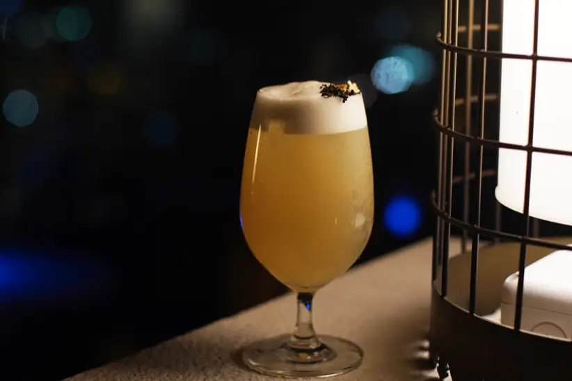 Cocktail Earth — photo 3