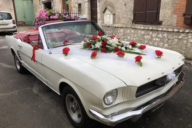 VPS Location — photo 8