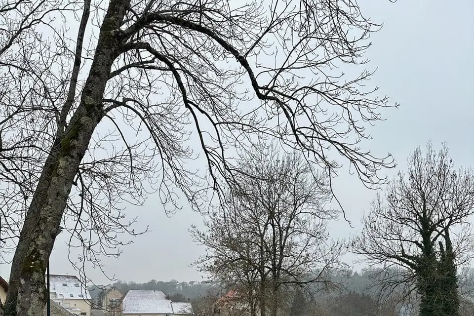 La Funky House — photo 6