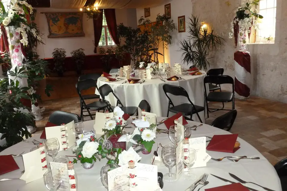 Château de la Mézière — photo 7