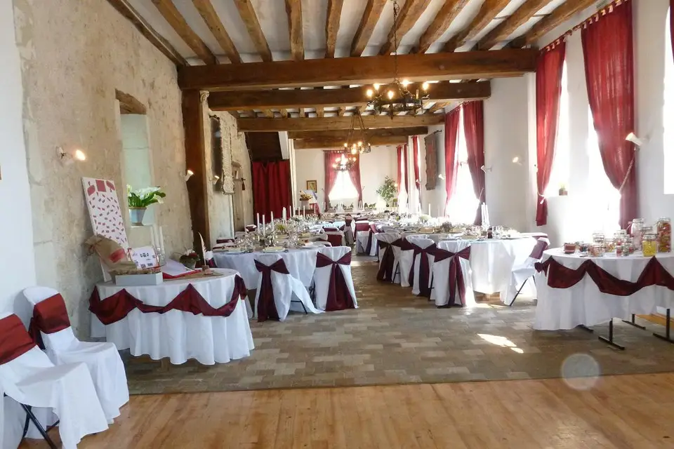 Château de la Mézière — photo 8