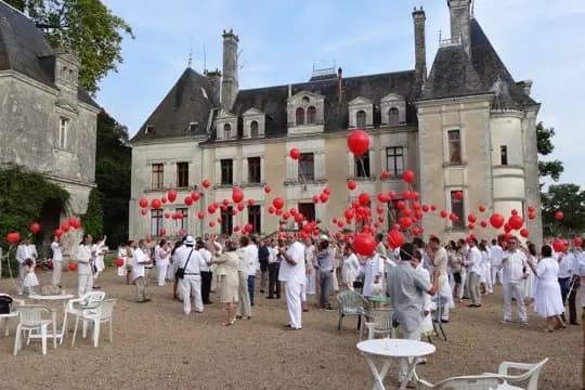 Château de la Mézière — photo 2