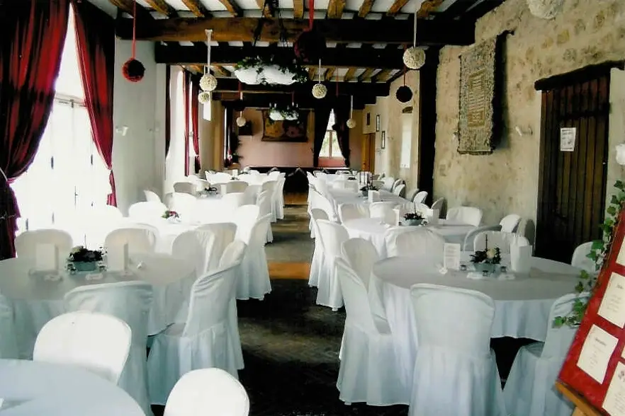 Château de la Mézière — photo 6