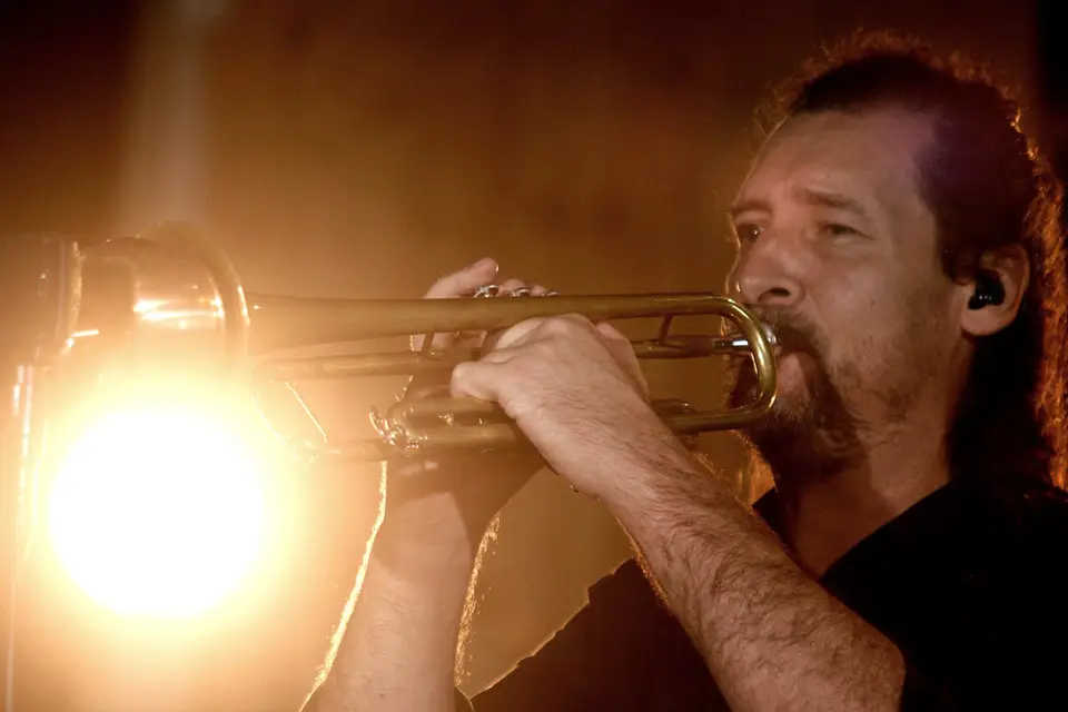 The Silver Swan — photo 4