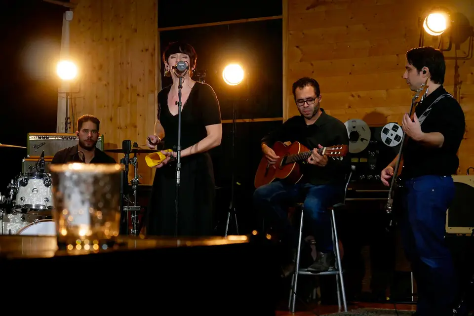 The Silver Swan — photo 3