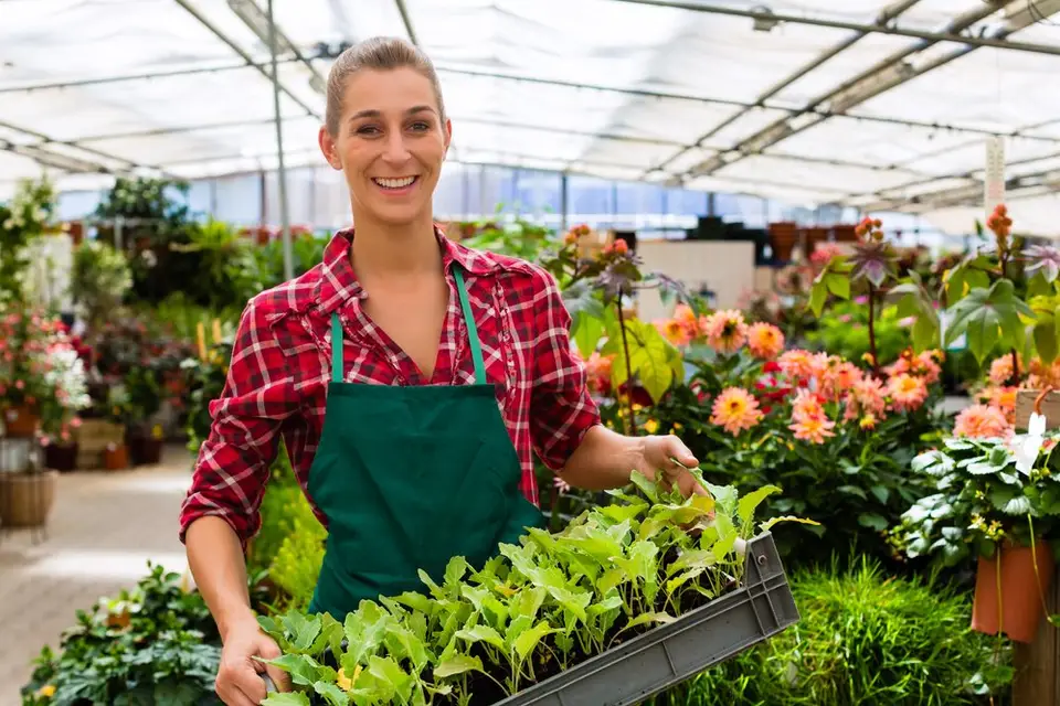 WP L'Unison — photo 2