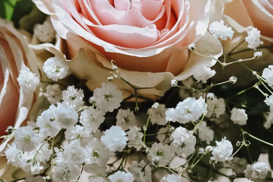 O'Petit Bonheur — photo 1