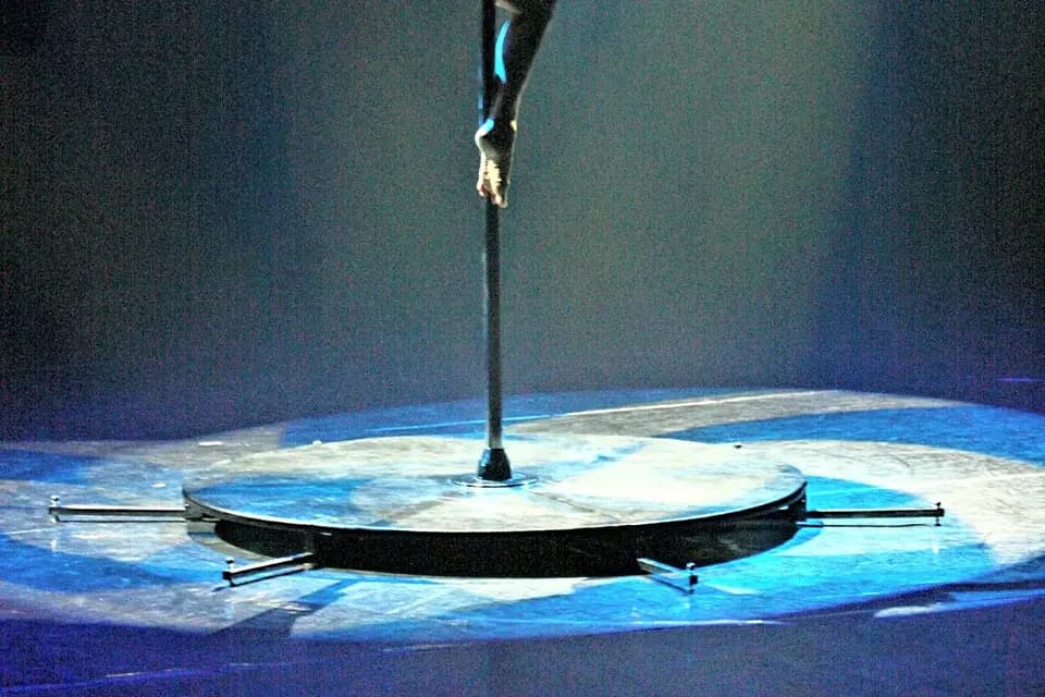 Pole Dance Passion — photo 1