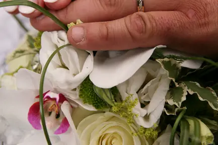 Photo Plus Express — photo 7