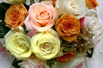 Photo Plus Express — photo 4