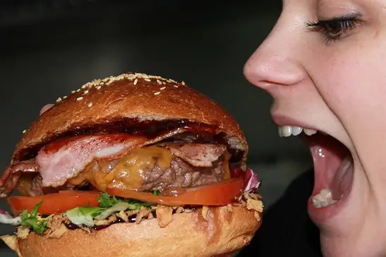 C’est Quoi Ce Truck — photo 5