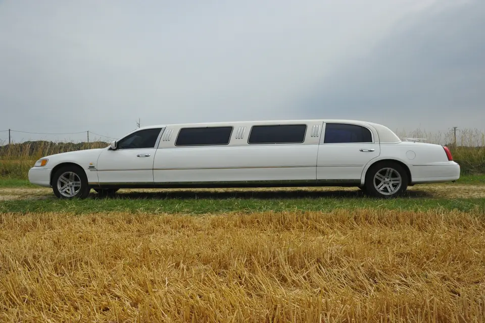 Hugo Fonbonne — photo 1