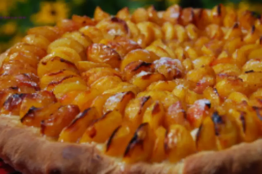 La Broche Touloise — photo 2