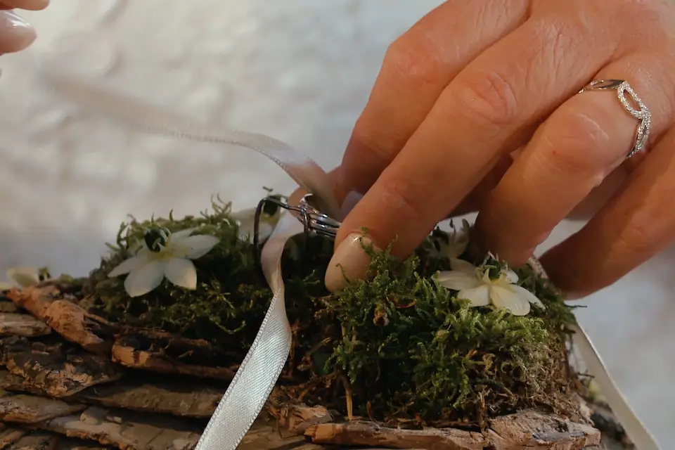 SR Vidéo — photo 2