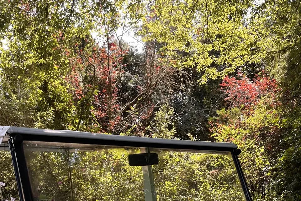 L’Atelier des Jours Fleuris — photo 8