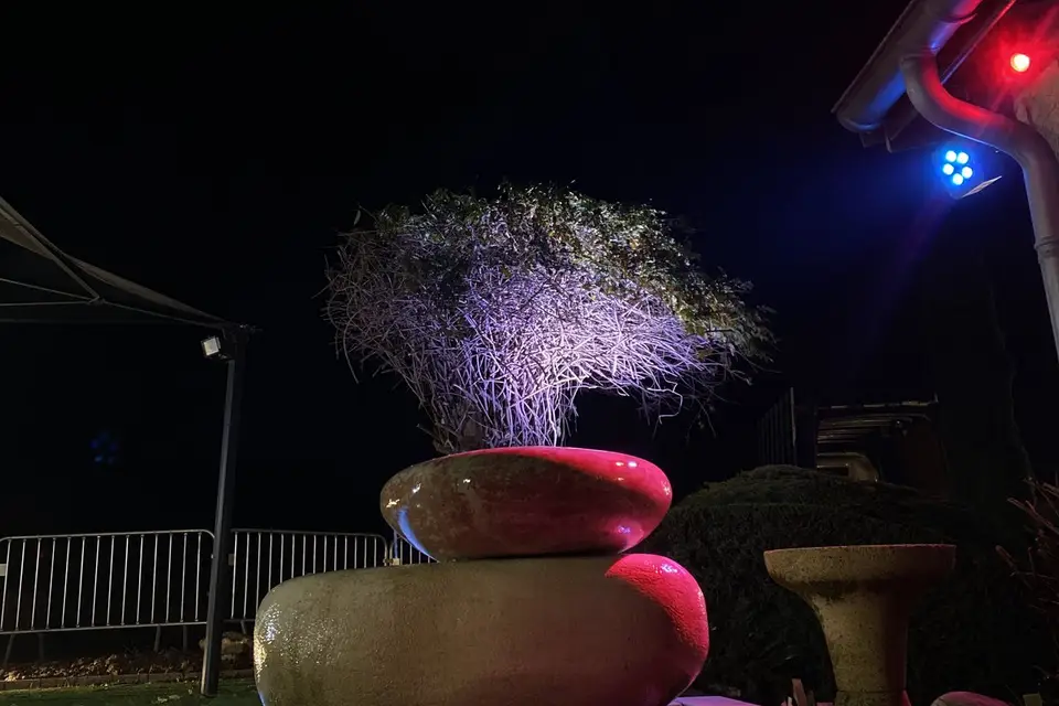 Domaine des Dombes — photo 6