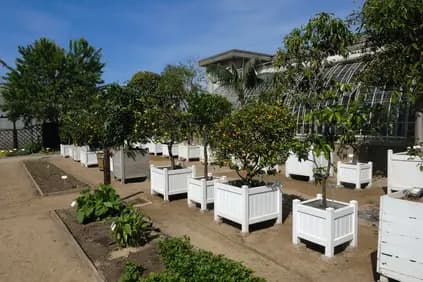 Au Comptoir des Plants — photo 5