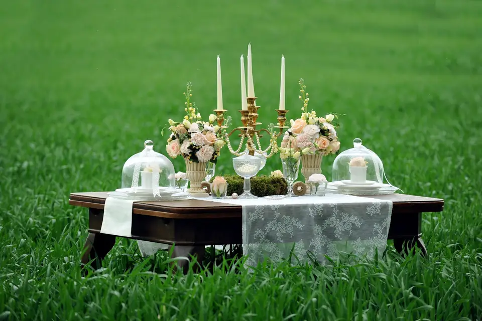 Au Comptoir des Plants