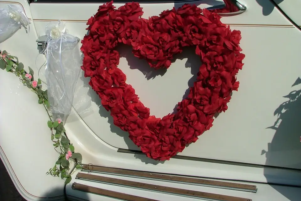 Excliburdream — photo 2