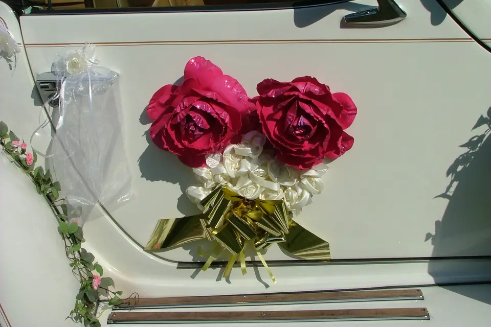 Excliburdream — photo 4